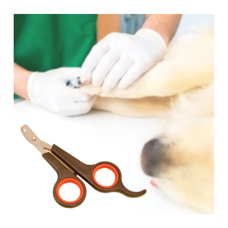 Küçük Çelik Uçlu Kedi Köpek Evcil Hayvan Tırnak Makası Pati Bakım Aleti Ergonomik Kaymaz Sap (5643)