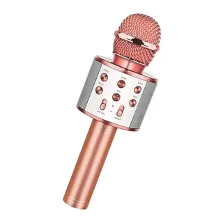 Bluetooth Karaoke Mikrofon (5643)