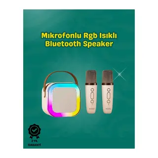 İki Mikrofonlu Renkli Led Işıklı Karaoke Cihazı