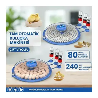80 Ve 240 Kapasiteli Fonksiyonel Tam Otomatik Kuluçka Papağan Mini Kuş Tavuk Kaz Ördek Uyumlu