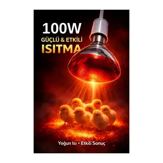 100w Isıtıcı Ampul Kırmızı Isı Lambası Civciv Kümes Kuluçka E27 Duy Isıtma Ampulü