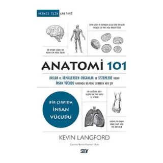 Anatomi 101