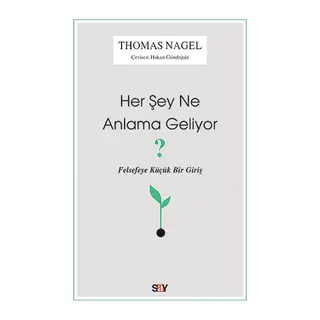 Her Şey Ne Anlama Geliyor?