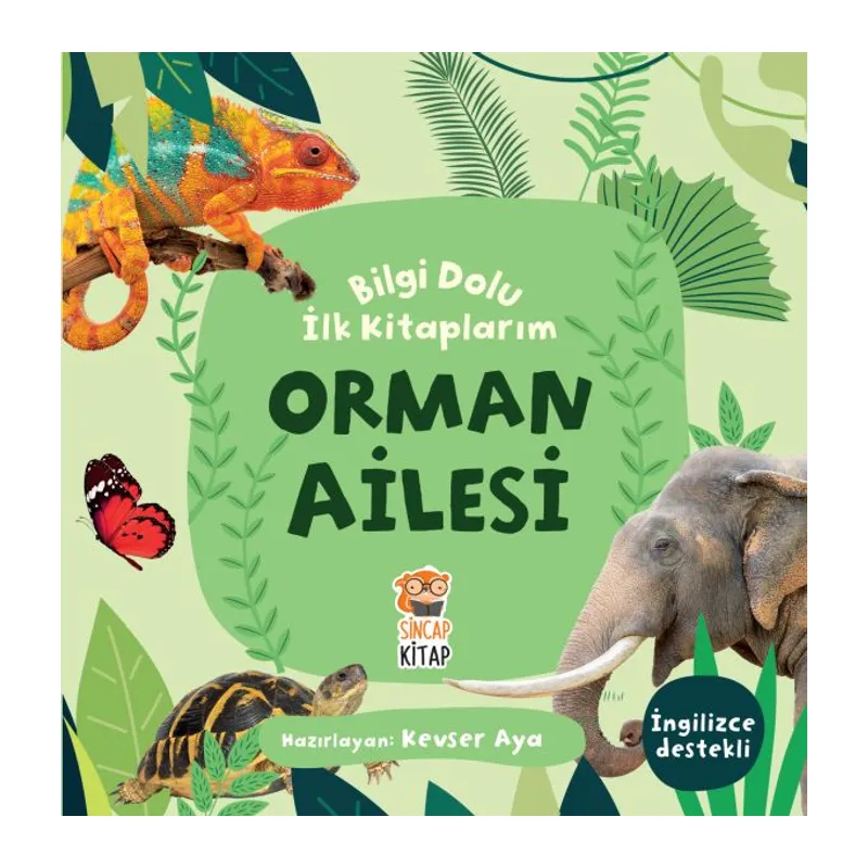 Orman Ailesi - Bilgi Dolu İlk Kitaplarım