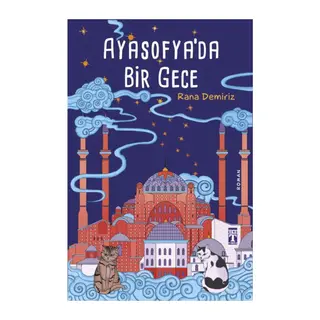 Ayasofya'da Bir Gece