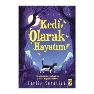 Kedi Olarak Hayatım
