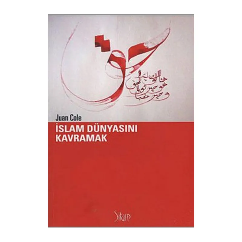 İslam Dünyasını Kavramak