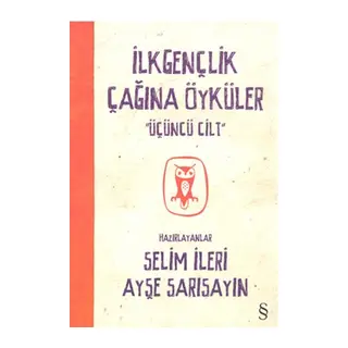 İlkgençlik Çağına Öyküler - 3. Cilt
