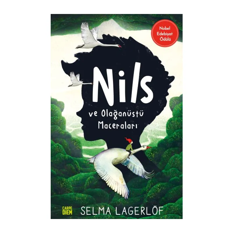 Nils ve Olağanüstü Maceraları