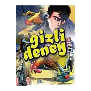 Gizli Denney