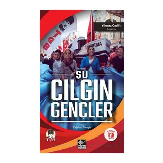 Şu Çılgın Gençler