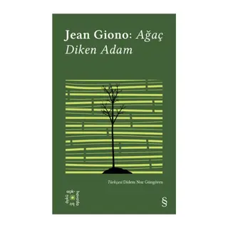 Ağaç Diken Adam - Everest Açıkhava 17