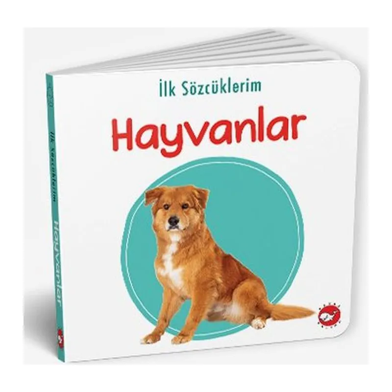 İlk Sözcüklerim - Hayvanlar