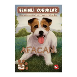 Sevimli Konuklar 4 -Afacan
