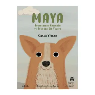 Maya - Sokaklardan Barınağa ve Sonunda Bir Yuvaya