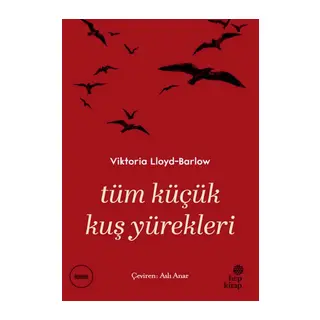Tüm Küçük Kuş Yürekleri