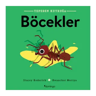Tepeden Kuyruğa - Böcekler