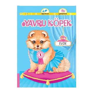 Yavru Köpek Evde