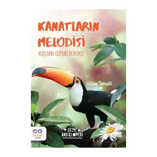 Kanatların Melodisi - Kuşların Gizemli Dünyası