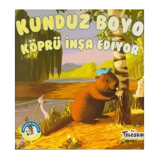 Kunduz Boyo Köprü İnşa Ediyor - Ormandan Hikayeler