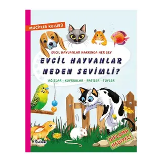 Evcil Hayvanlar Neden Sevimli?