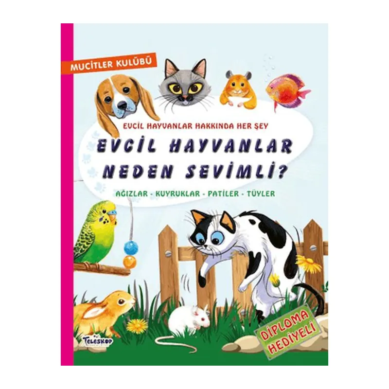 Evcil Hayvanlar Neden Sevimli?