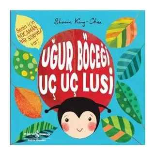 Uğur Böceği Uç Uç Lusi