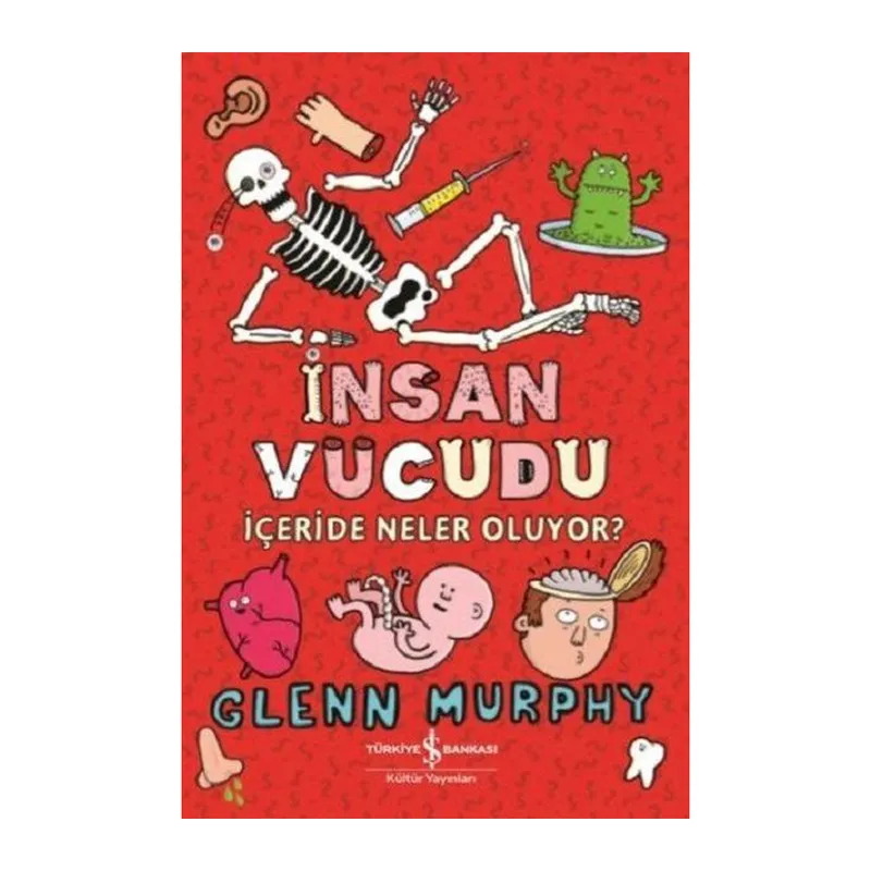İnsan Vücudu - İçeride Neler Oluyor?