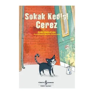 Sokak Kedisi Çerez