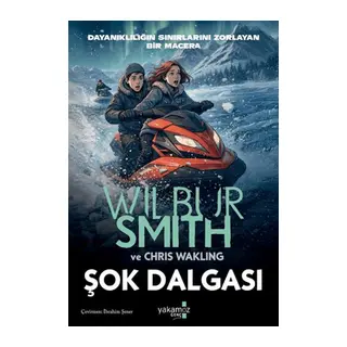 Şok Dalgası