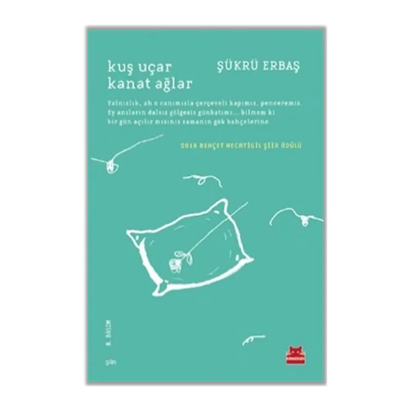 Kuş Uçar Kanat Ağlar