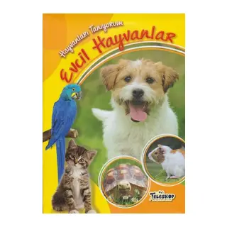 Hayvanları Tanıyorum Evcil Hayvanlar