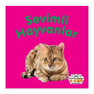 Sevimli Hayvanlar - Mini Karton Kitaplar