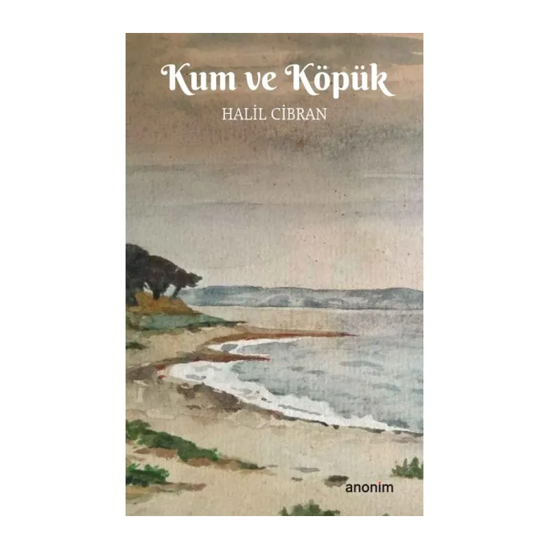 Kum ve Köpük