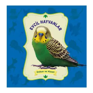 Evcil Hayvanlar - Dokun ve Hisset