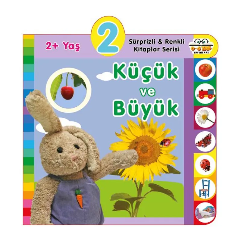 Yaş Küçük ve Büyük (2+Yaş)