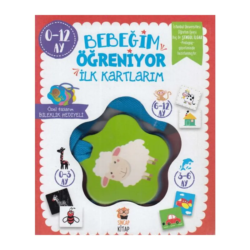 Bebeğim Öğreniyor - İlk Kartlarım (0 - 12 Ay)