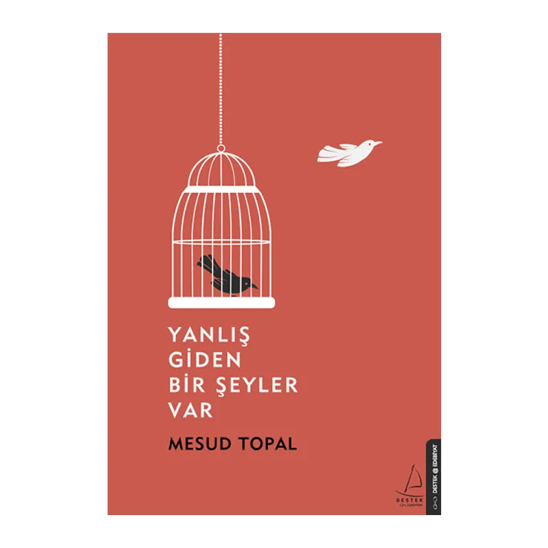 Yanlış Giden Bir Şeyler Var