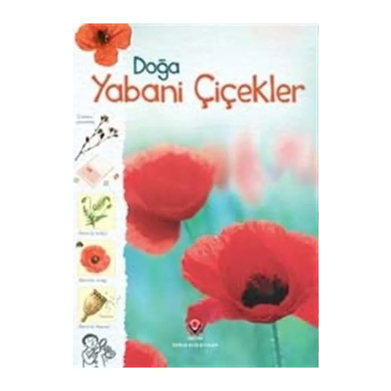 Doğa-Yabani Çiçekler
