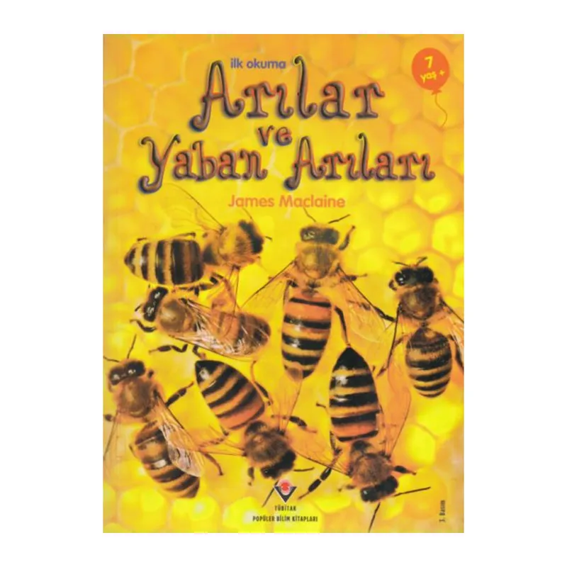 İlk Okuma - Arılar ve Yaban Arıları