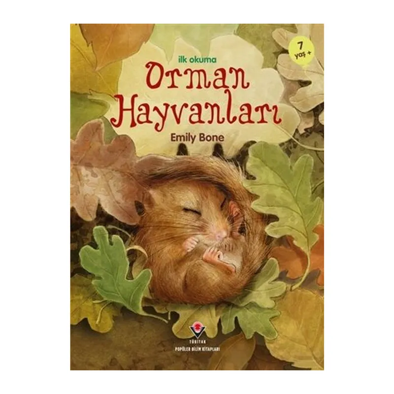 İlk Okuma - Orman Hayvanları