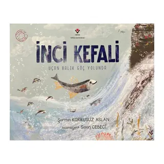 İnci Kefali