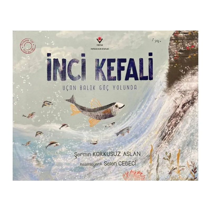 İnci Kefali