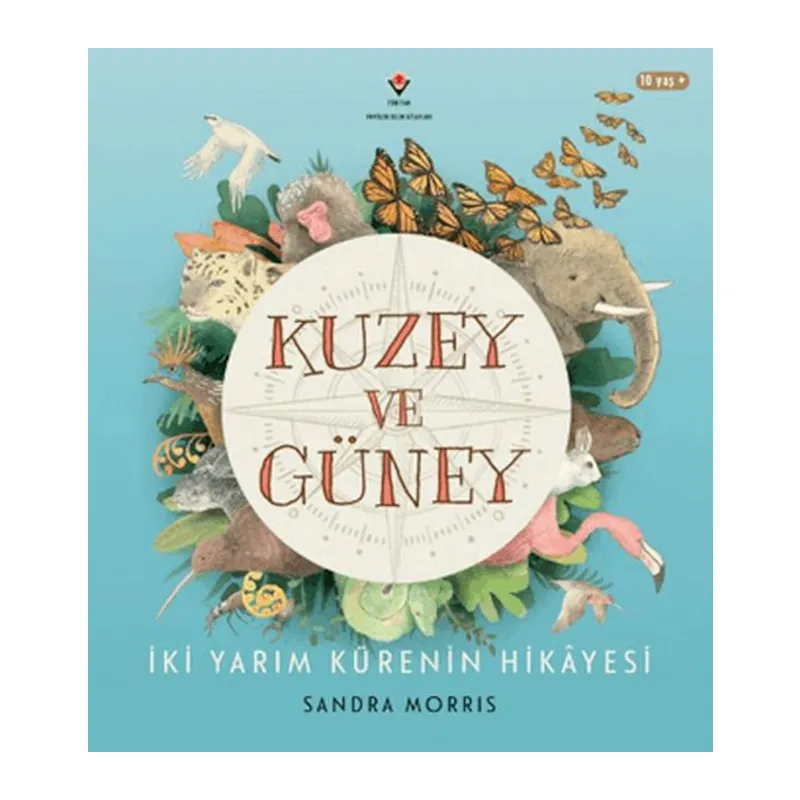 Kuzey ve Güney - İki Yarım Kürenin Hikâyesi