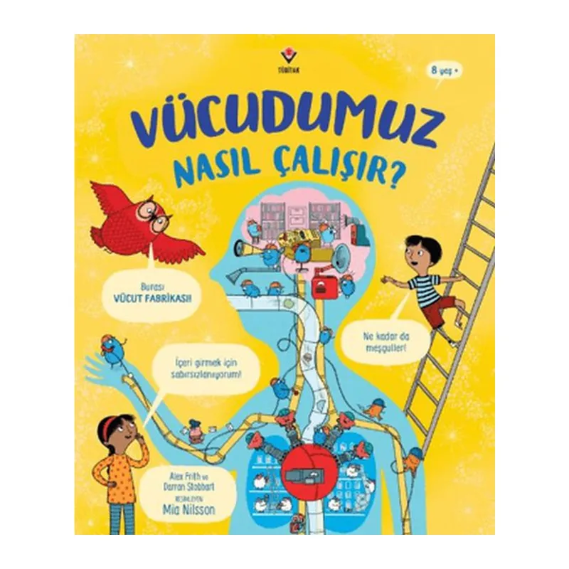 Vücudumuz Nasıl Çalışır?