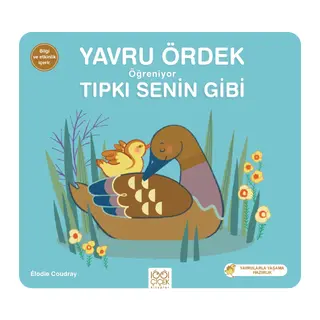 Yavru Ördek Öğreniyor Tıpkı Senin Gibi
