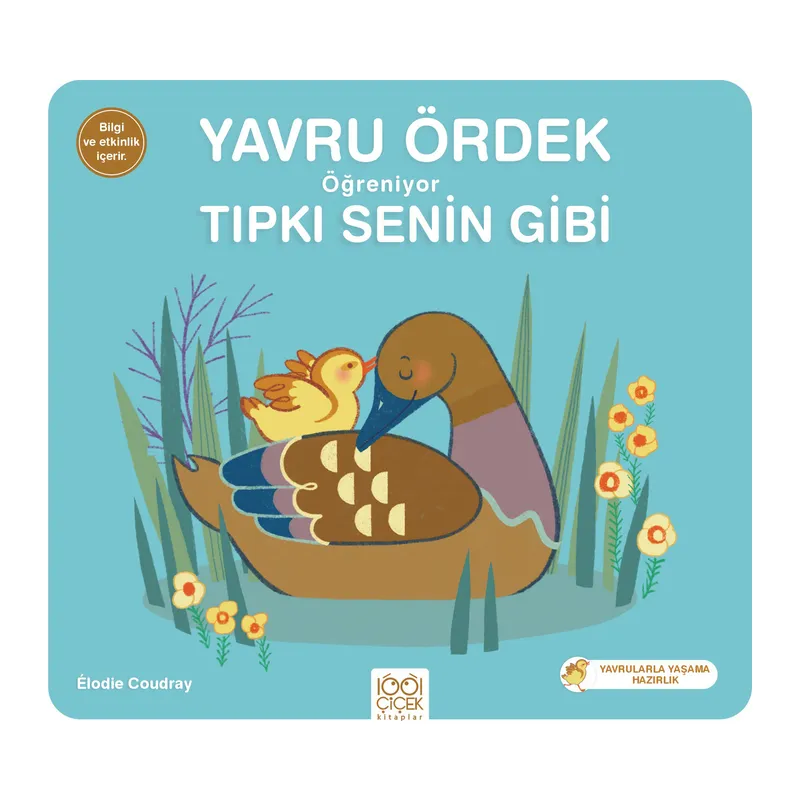 Yavru Ördek Öğreniyor Tıpkı Senin Gibi