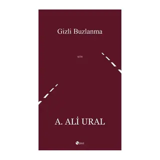 Gizli Buzlanma