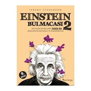 Einstein Bulmacası 2 Aklınızın Sınırlarını Zorlayacak Bulmaca ve Paradokslar