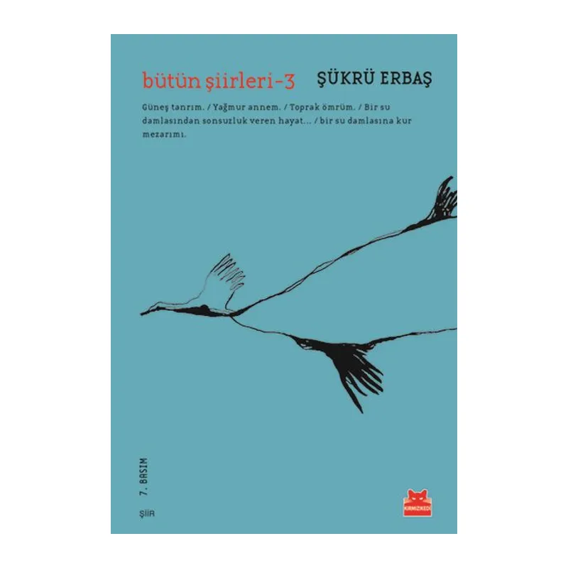 Bütün Şiirleri 3